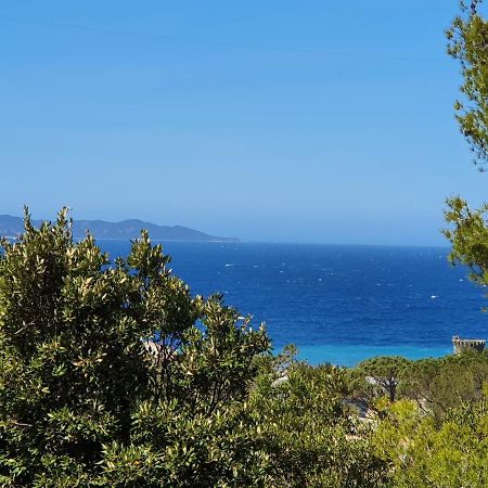 Les Gites Du Cap Corse Nonza Eksteriør billede