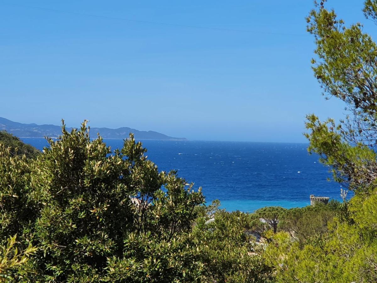 Les Gites Du Cap Corse Nonza Eksteriør billede