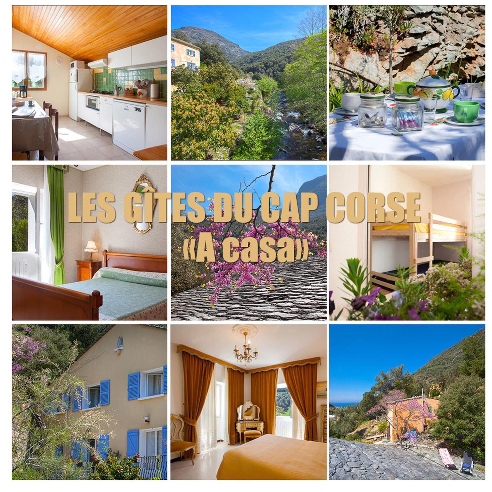 Les Gites Du Cap Corse Nonza Eksteriør billede