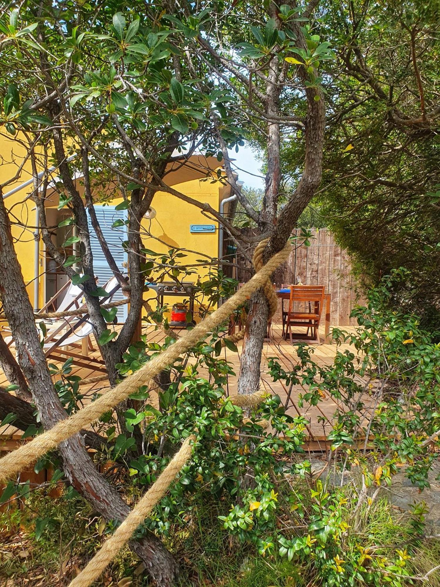 Les Gites Du Cap Corse Nonza Eksteriør billede