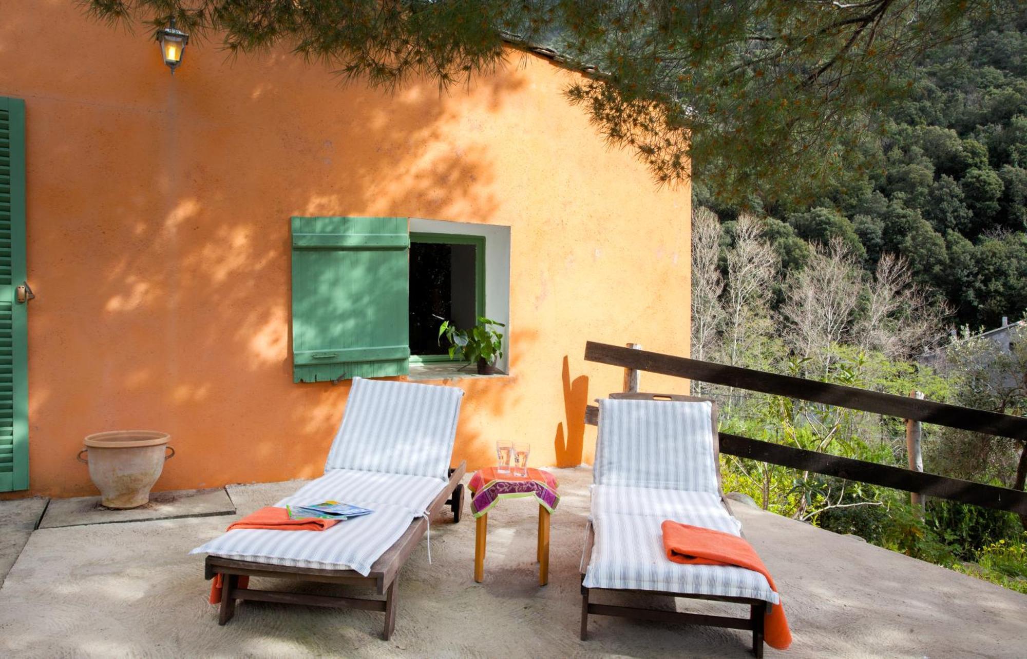 Les Gites Du Cap Corse Nonza Værelse billede