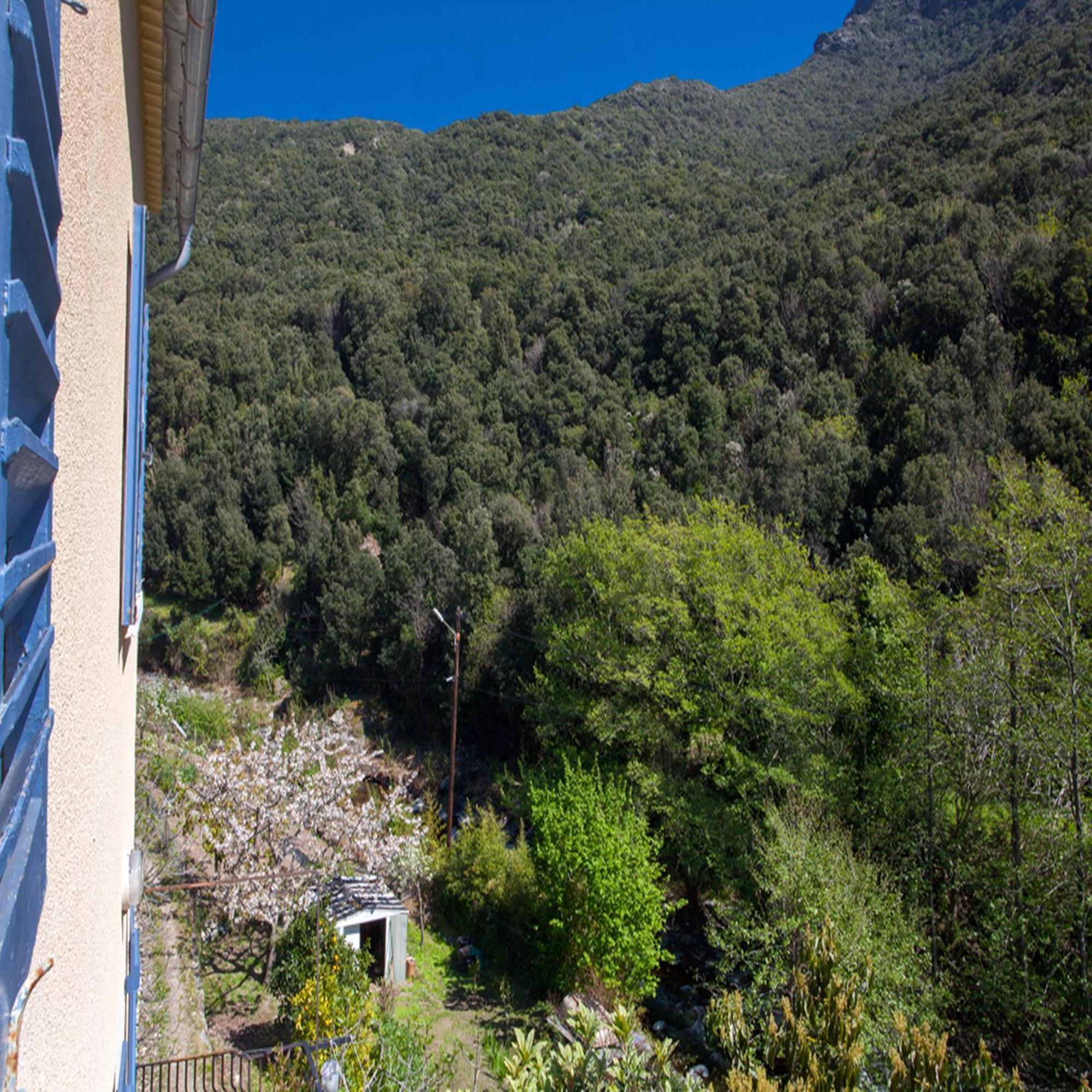 Les Gites Du Cap Corse Nonza Værelse billede