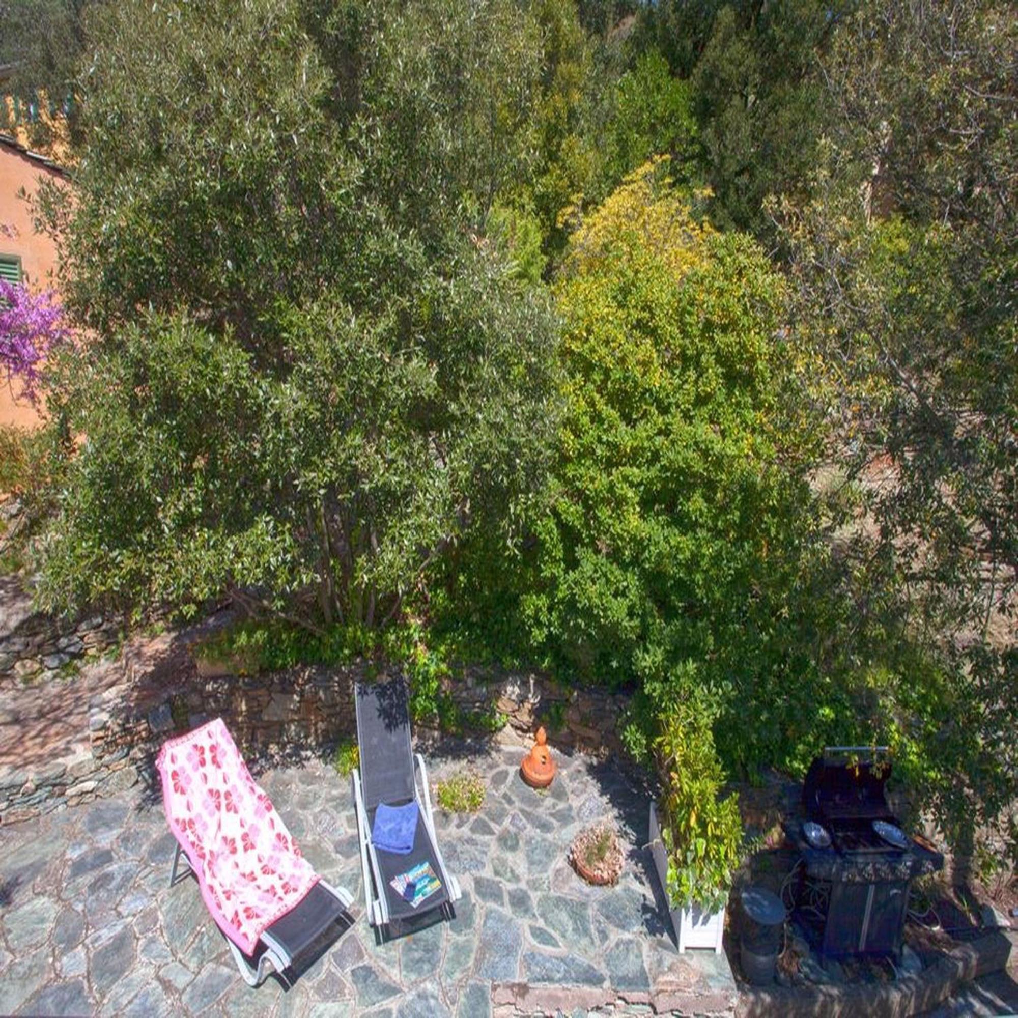 Les Gites Du Cap Corse Nonza Værelse billede