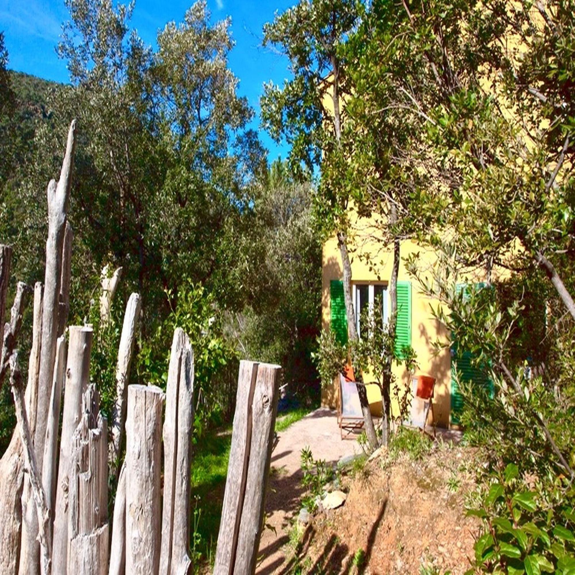 Les Gites Du Cap Corse Nonza Værelse billede