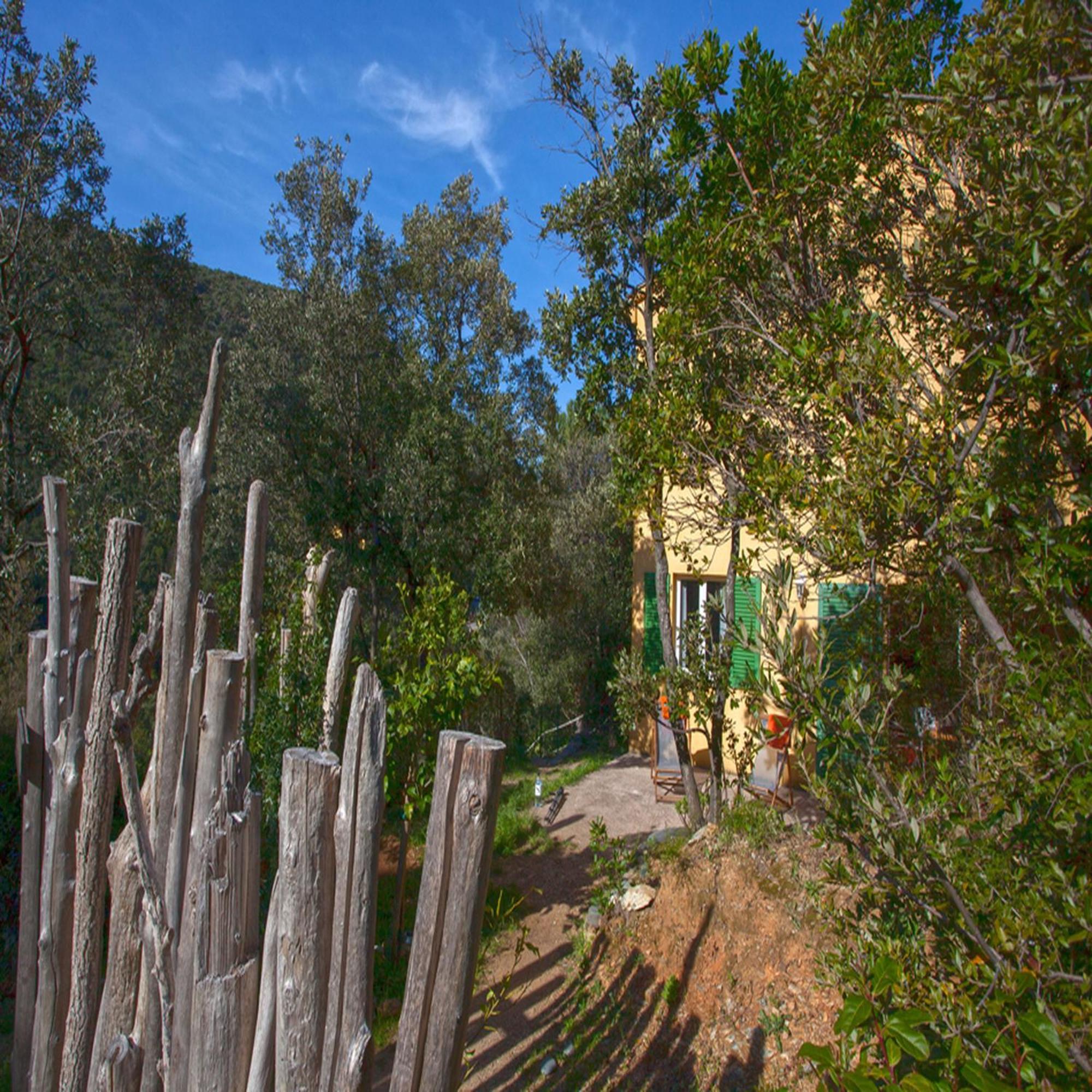 Les Gites Du Cap Corse Nonza Værelse billede